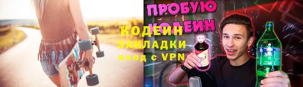 шишки Белокуриха