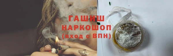 шишки Белокуриха