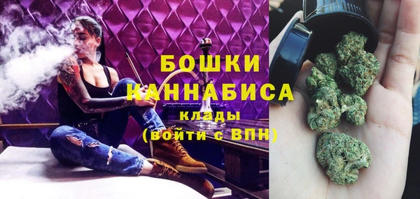 шишки Белокуриха