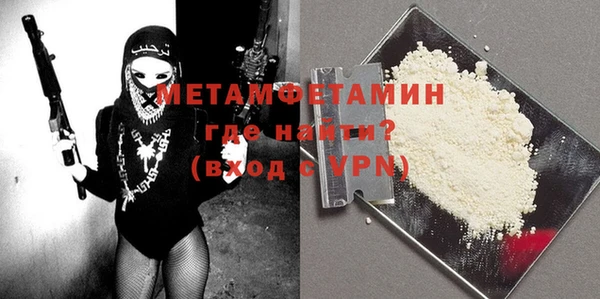 шишки Белокуриха