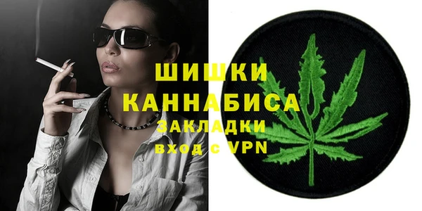 шишки Белокуриха