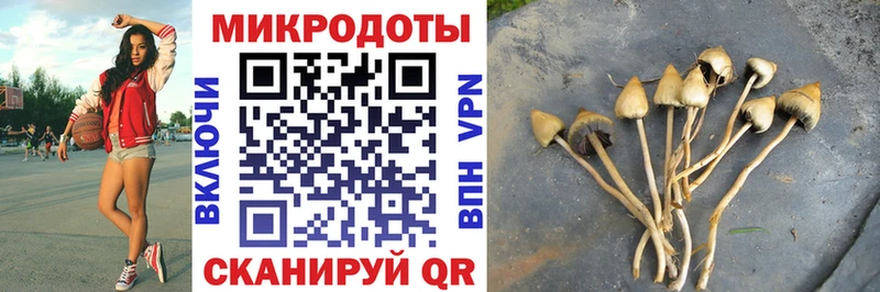 Псилоцибиновые грибы GOLDEN TEACHER  Бутурлиновка 