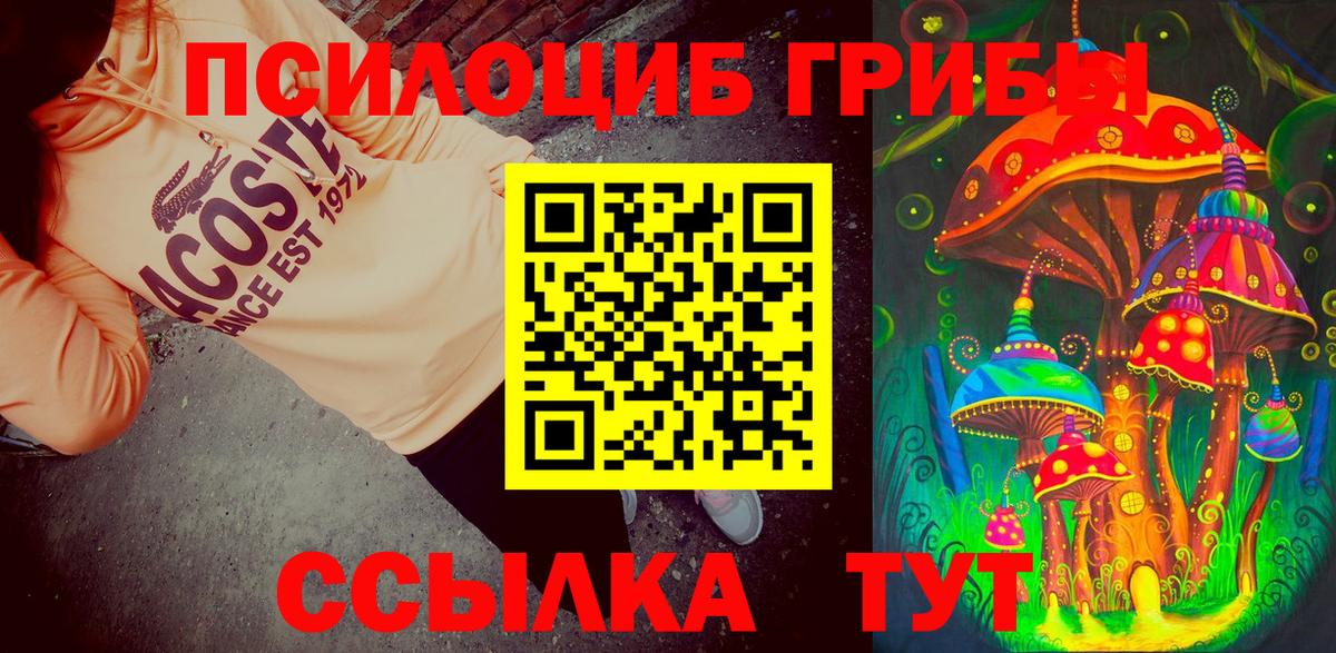 Псилоцибиновые грибы мицелий Бутурлиновка