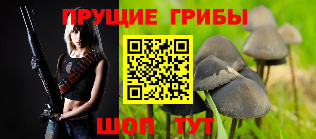 Псилоцибиновые грибы MAGIC MUSHROOMS  Псилоцибиновые грибы GOLDEN TEACHER  Бутурлиновка  Вход с VPN 